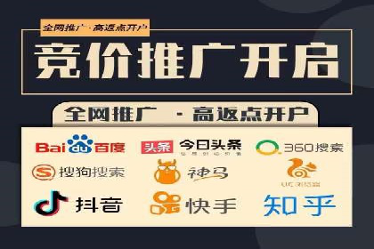 百度竞价广告投放策略：案例分析及效果评估